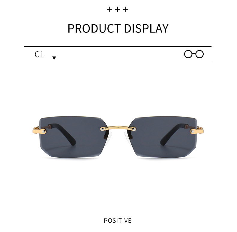 Sunglasses Detail 5