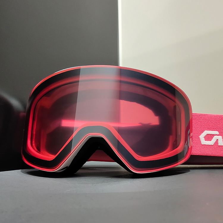 Ski Goggle Detail 5