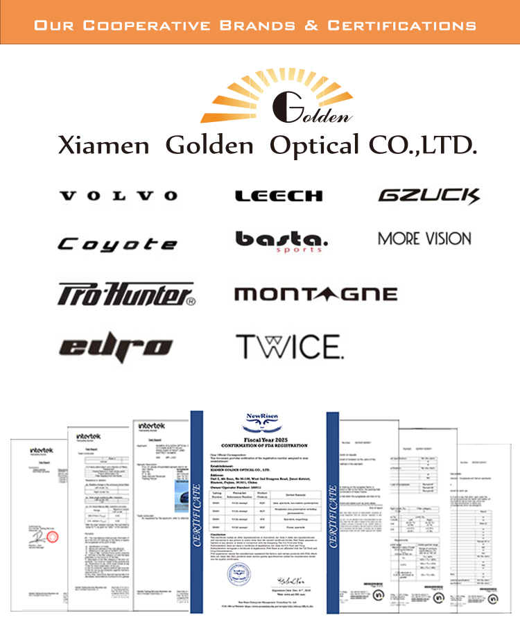 Company Profile