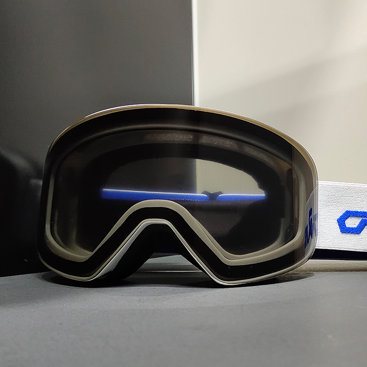 Ski Goggle Detail 2