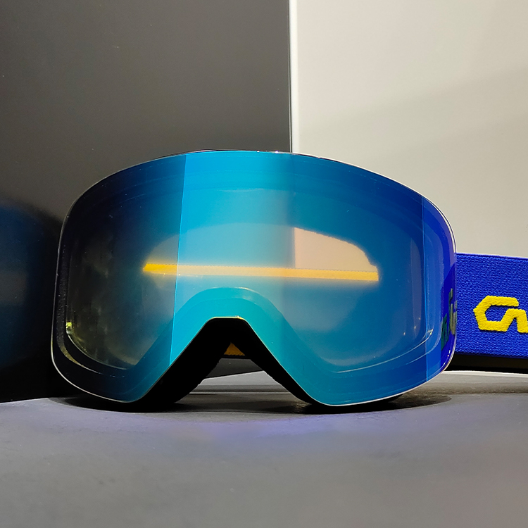 Ski Goggle Detail 6