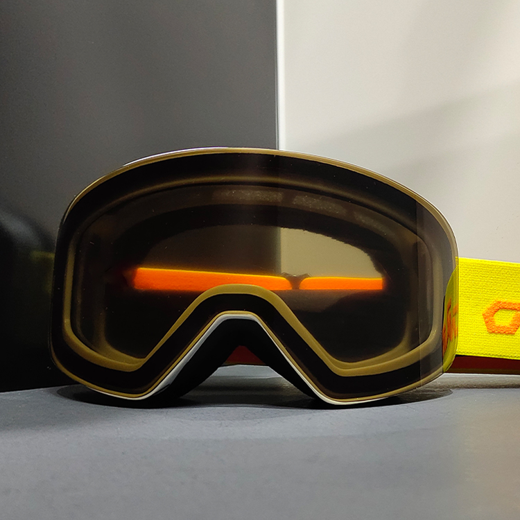 Ski Goggle Detail 1