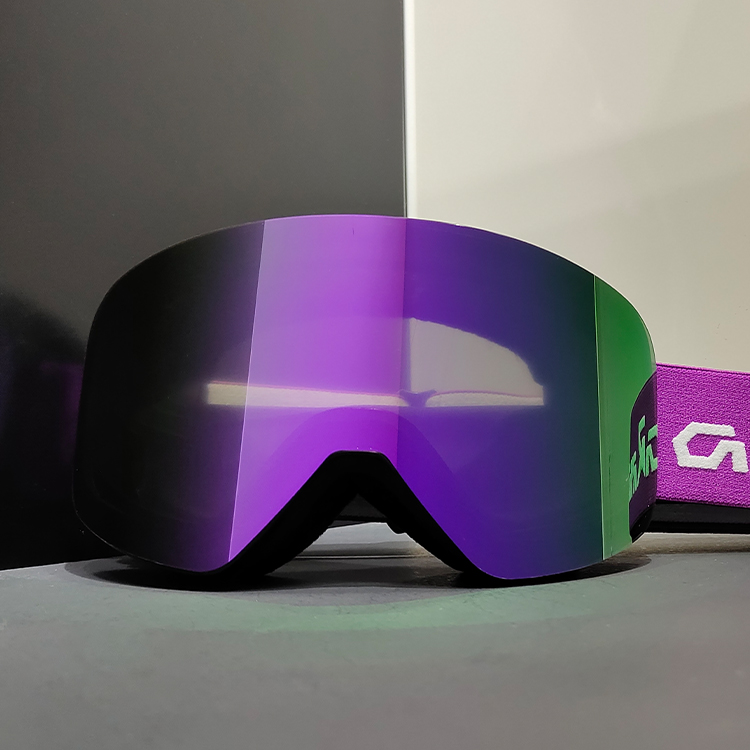 Ski Goggle Detail 7