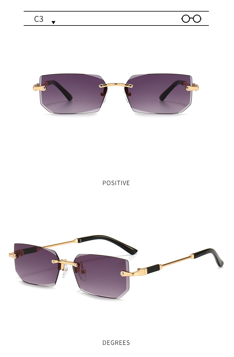 Sunglasses Detail 8