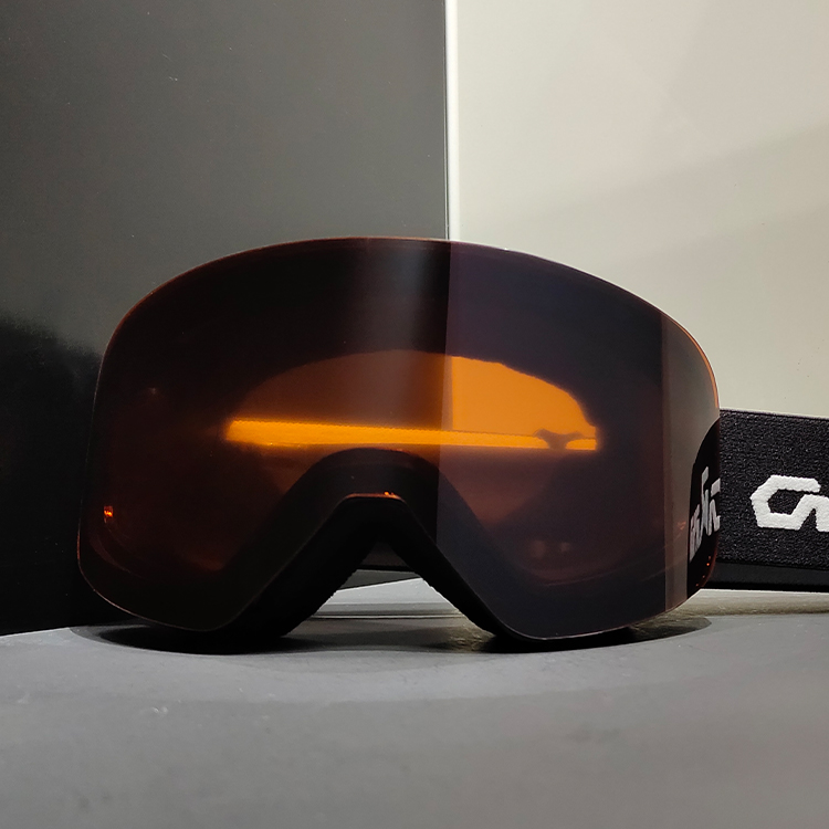 Ski Goggle Detail 10
