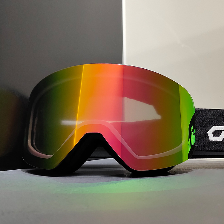 Ski Goggle Detail 8