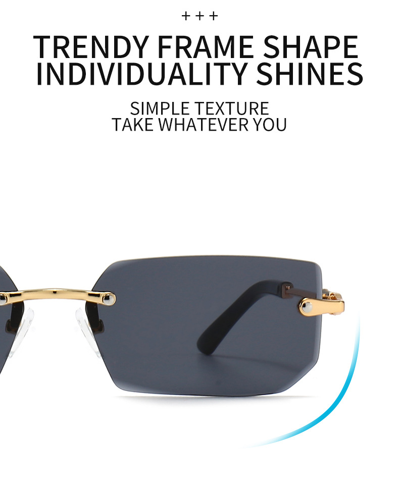 Sunglasses Detail 1
