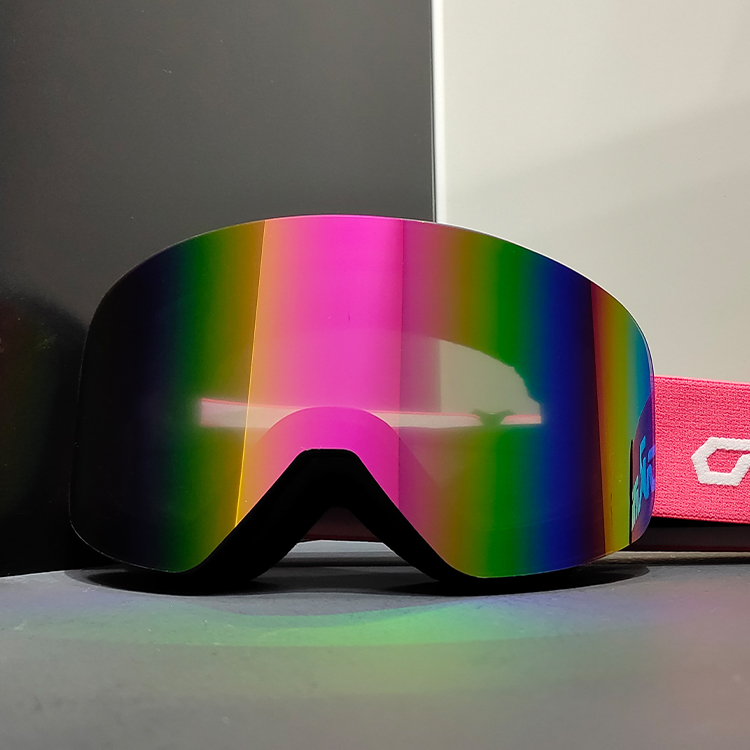 Ski Goggle Detail 3